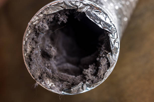 Best Ductwork Cleaning Services  in Bruceville Eddy, TX